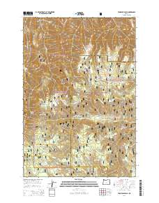 2014 Map of Tamarack Gulch, 2014 Print