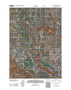 2011 Map of Tea Table Mountain, 2011 Print