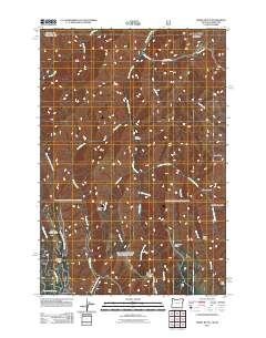 2011 Map of Teepee Butte, 2011 Print