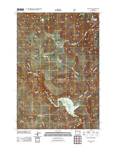 2011 Map of Telocaset, 2011 Print