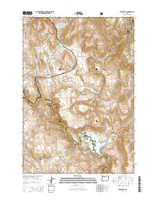 2014 Map of Telocaset, 2014 Print