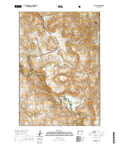 2020 Map of Telocaset, 2020 Print