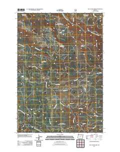 2011 Map of The Cockscomb, 2011 Print