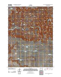 2011 Map of The Hole in the Ground, 2011 Print
