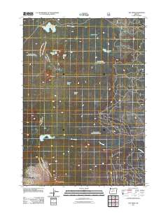 2011 Map of The Twins, 2011 Print