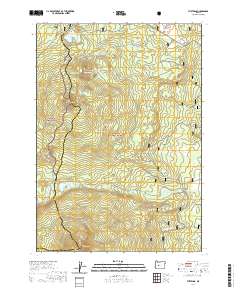 2020 Map of The Twins, 2020 Print
