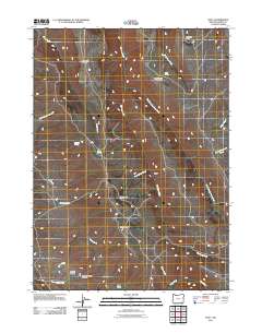 2011 Map of The V, 2011 Print