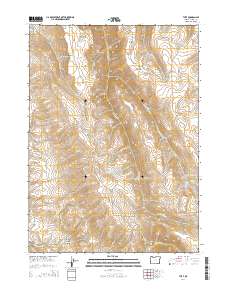 2014 Map of The V, 2014 Print