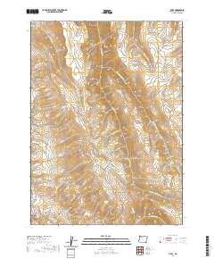 2020 Map of The V, 2020 Print