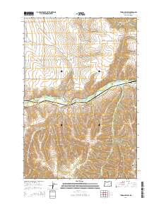 2014 Map of Thorn Hollow, 2014 Print
