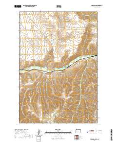 2020 Map of Thorn Hollow, 2020 Print