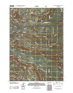 2011 Map of Thousand Springs, 2011 Print