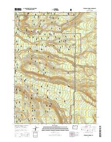 2014 Map of Thousand Springs, 2014 Print