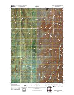 2011 Map of Three Lakes Country, 2011 Print