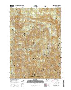 2014 Map of Tidbits Mountain, 2014 Print