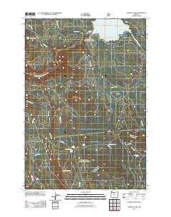 2011 Map of Timothy Lake, 2011 Print