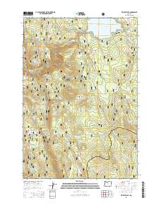 2014 Map of Timothy Lake, 2014 Print