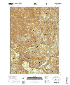 2020 Map of Toketee Falls, 2020 Print