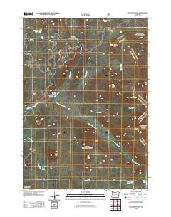 2011 Map of Tolo Mountain, 2011 Print