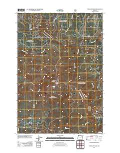 2011 Map of Tower Mountain, 2011 Print