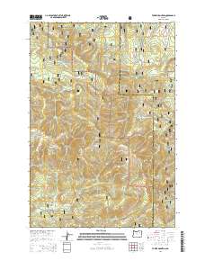 2014 Map of Tower Mountain, 2014 Print