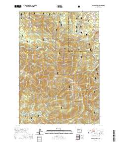 2020 Map of Tower Mountain, 2020 Print