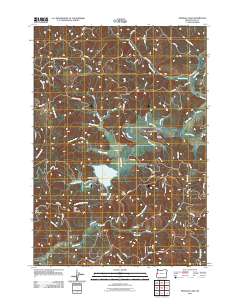 2011 Map of Triangle Lake, 2011 Print