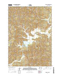 2014 Map of Triangle Lake, 2014 Print