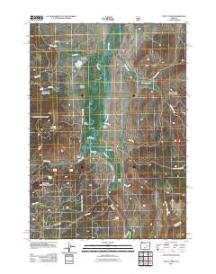 2011 Map of Trout Creek, 2011 Print