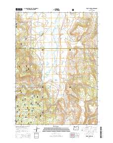2014 Map of Trout Creek, 2014 Print