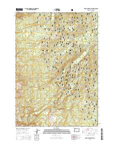 2014 Map of Trout Creek Butte, 2014 Print