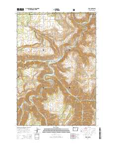 2014 Map of Troy, 2014 Print