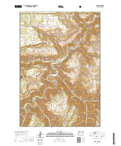 2020 Map of Troy, 2020 Print