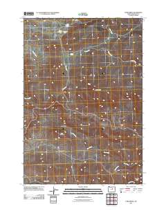 2011 Map of Tubb Spring, 2011 Print