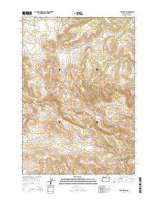 2014 Map of Tubb Spring, 2014 Print