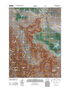 2011 Map of Tucker Hill, 2011 Print