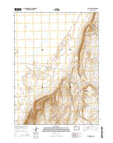 2014 Map of Tule Springs, 2014 Print