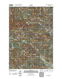 2011 Map of Turner Creek, 2011 Print