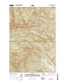 2014 Map of Turner Creek, 2014 Print