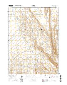 2014 Map of Twelvemile Ridge, 2014 Print