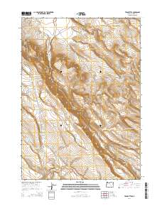 2014 Map of Twin Buttes, 2014 Print