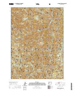 2020 Map of Twin Lakes Mountain, 2020 Print