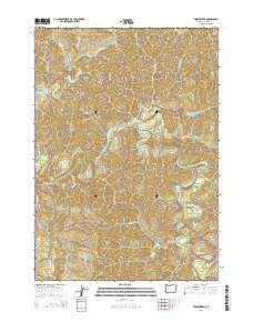 2014 Map of Twin Sisters, 2014 Print