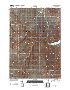 2011 Map of Twin Springs, 2011 Print