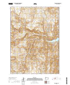 2020 Map of Twin Springs, 2020 Print