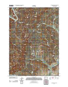 2011 Map of Tyee Mountain, 2011 Print