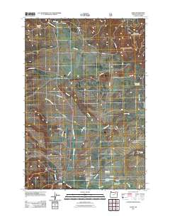 2011 Map of Ukiah, 2011 Print