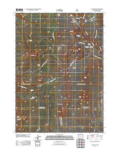2011 Map of Union Peak, 2011 Print