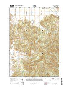 2014 Map of Union Point, 2014 Print