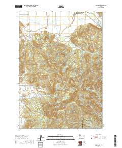 2020 Map of Union Point, 2020 Print